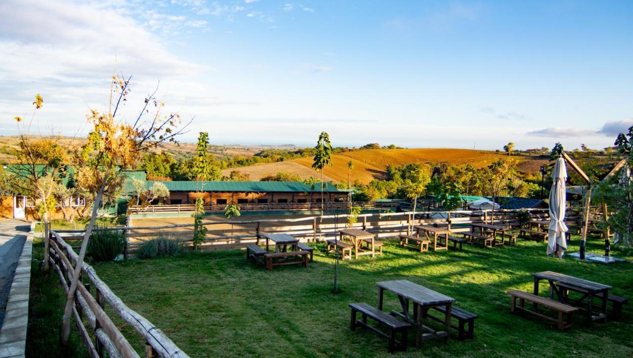 3 Hills Boutique - The Ranch Experience Hotel Trilofos Ngoại thất bức ảnh